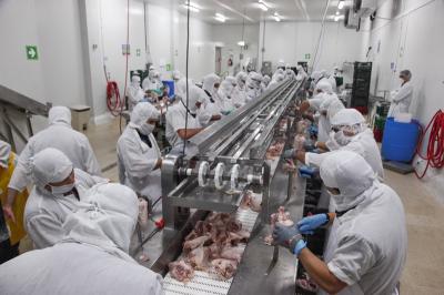 Dịch vụ cung cấp thực phẩm đông lạnh nhập khẩu uy tín tại Hoà Bình