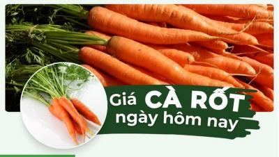 Giá cà rốt hôm nay bao nhiêu 1kg? Cập nhật bảng giá cà rốt mới nhất
