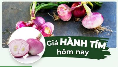 Giá hành tím hôm nay bao nhiêu tiền 1kg? Cập nhật giá hành tím, hành khô mới nhất