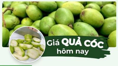 Giá quả cóc hôm nay cập nhật mới nhất 24 giờ qua