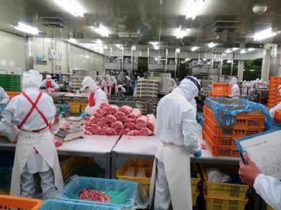 Nhà cung cấp thực phẩm đông lạnh nhập khẩu chất lượng tại Bình Dương