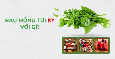 Rau mồng tơi kỵ với gì​? Ai không nên ăn rau mồng tơi?