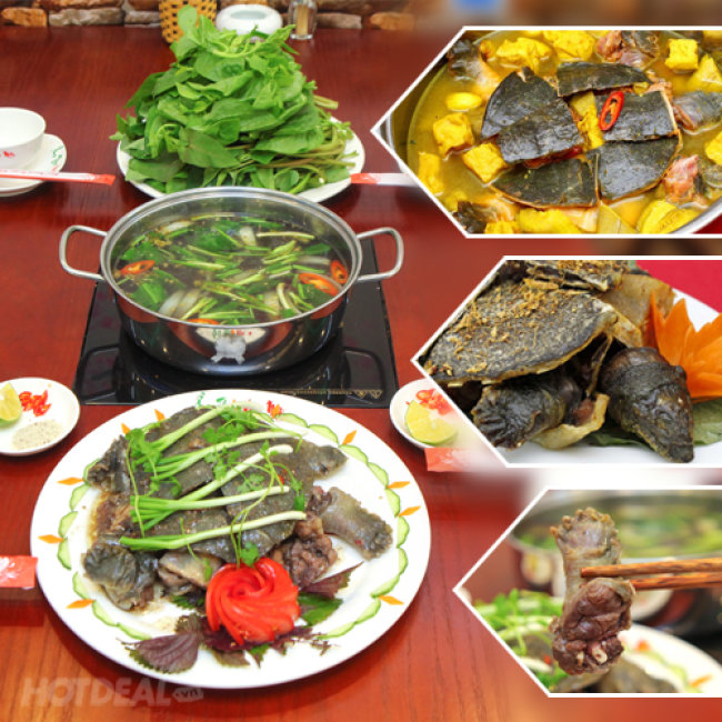 Thưởng Thức Ba Ba Cắt Tiết Tại Bàn - Tùy Chọn Chế Biến Tại Ẩm Thực Vân Mây