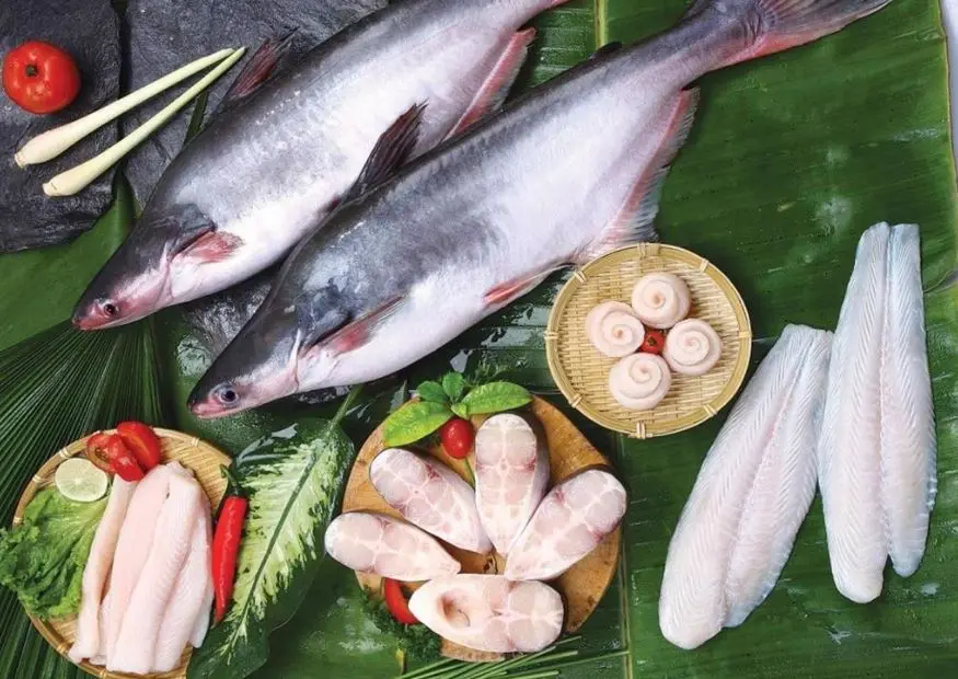 Mẹo chọn mua cá basa tươi ngon và bảo quản cá đúng cách
