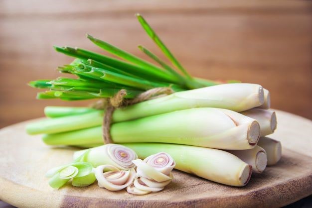 Món ăn, bài thuốc chữa bệnh từ cây sả