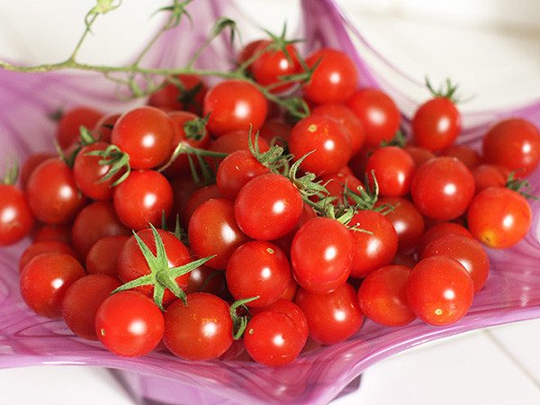 Cây Giống Cà chua bi