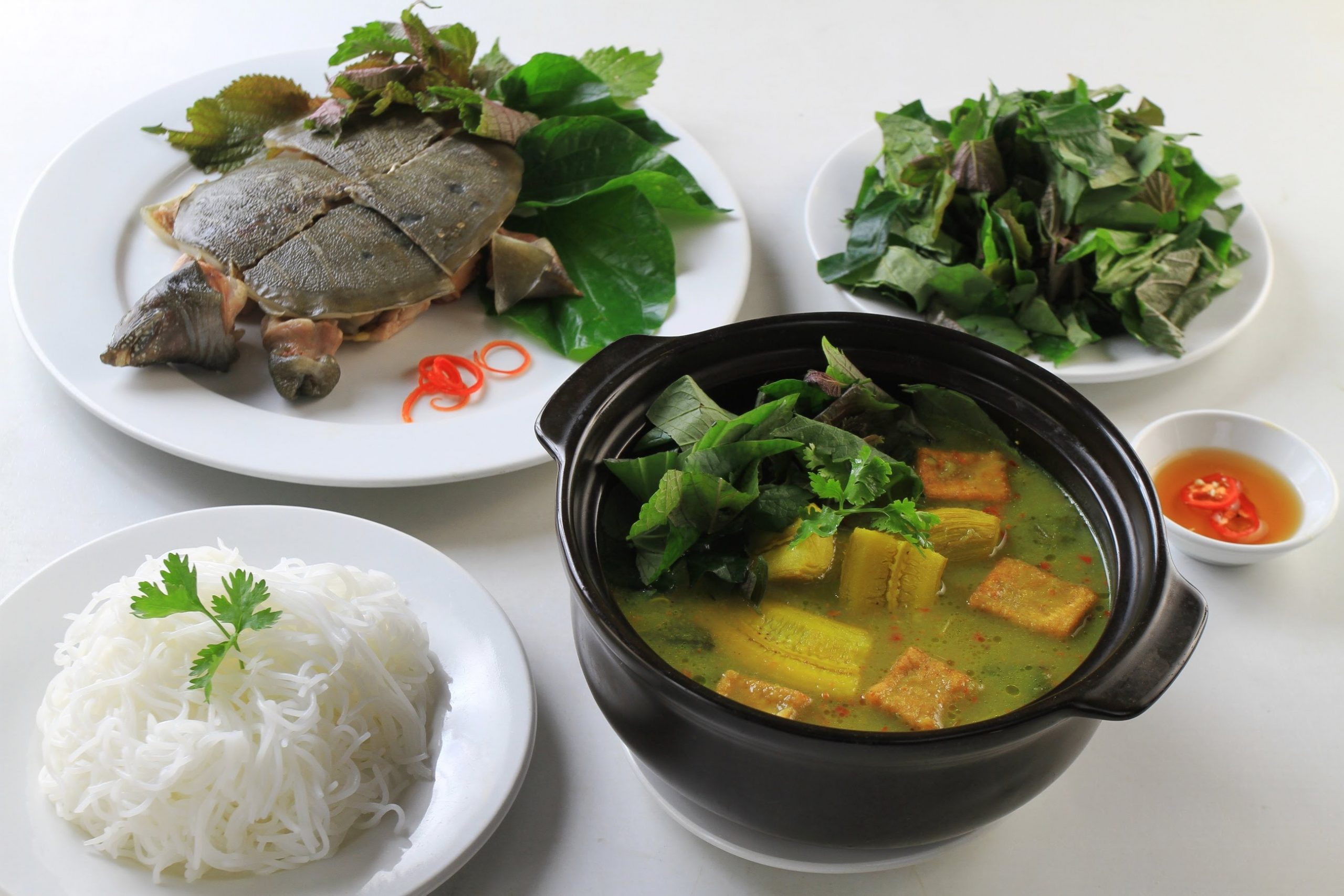 Ba ba hấp muối và các món ngon từ ba ba