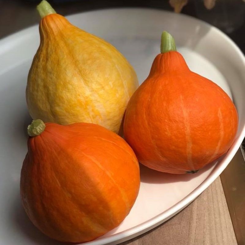 Bí giọt nước Đà Lạt