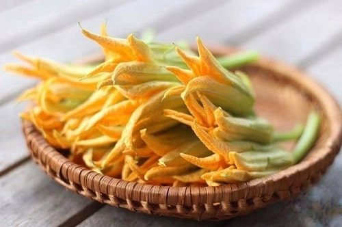 Cung Cấp Bông Bí Sạch Tươi Ngon, Đạt Chuẩn VietGAP