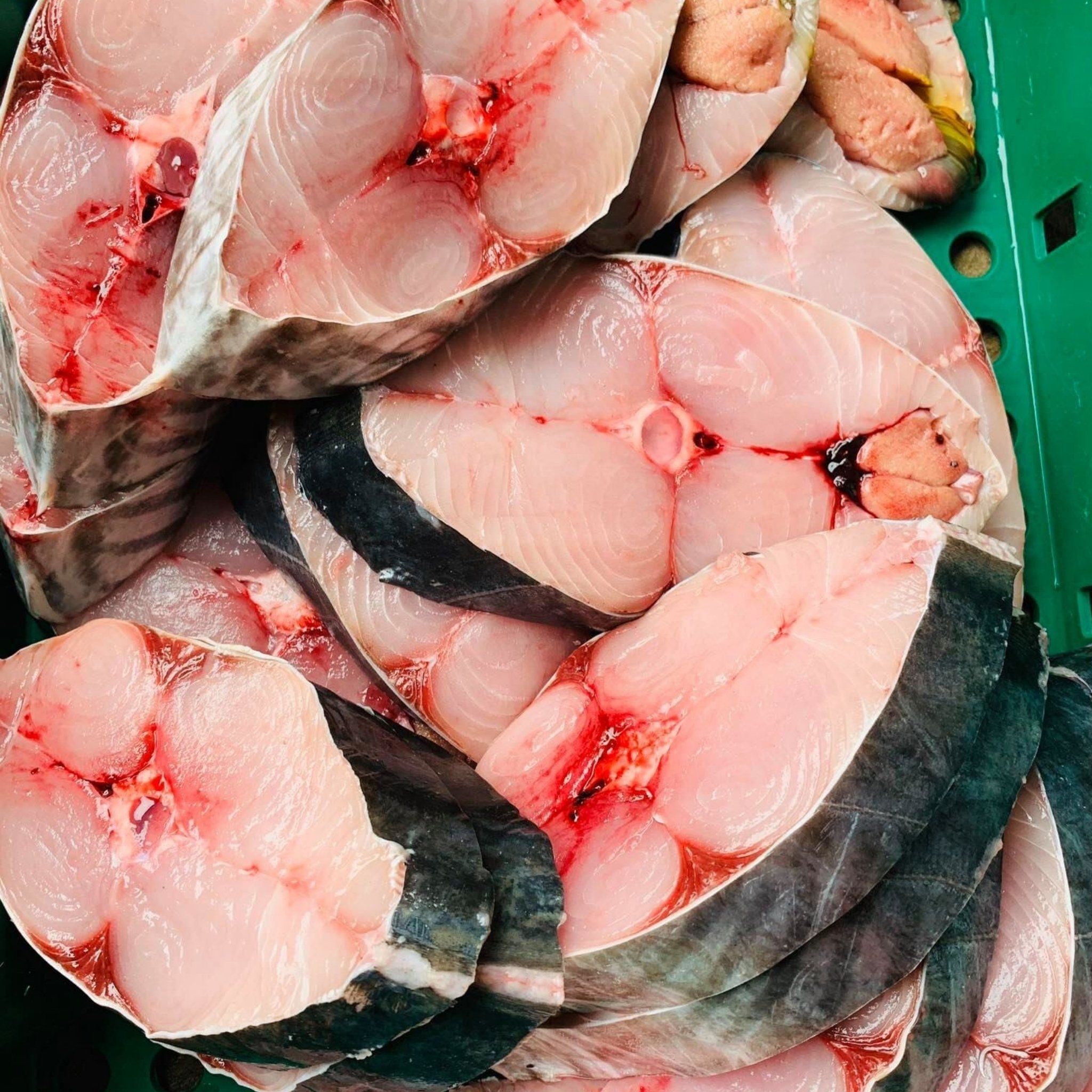Cá Thu Tươi Là Gì? 3 Bí Mật Đến Từ Cá Thu Tươi Bạn Không Thể Bỏ Qua – VITOT  FOOD - MÓN NGON NỔI TIẾNG | MÓN NGON VÙNG MIỀN NHẬP KHẨU CAO CẤP