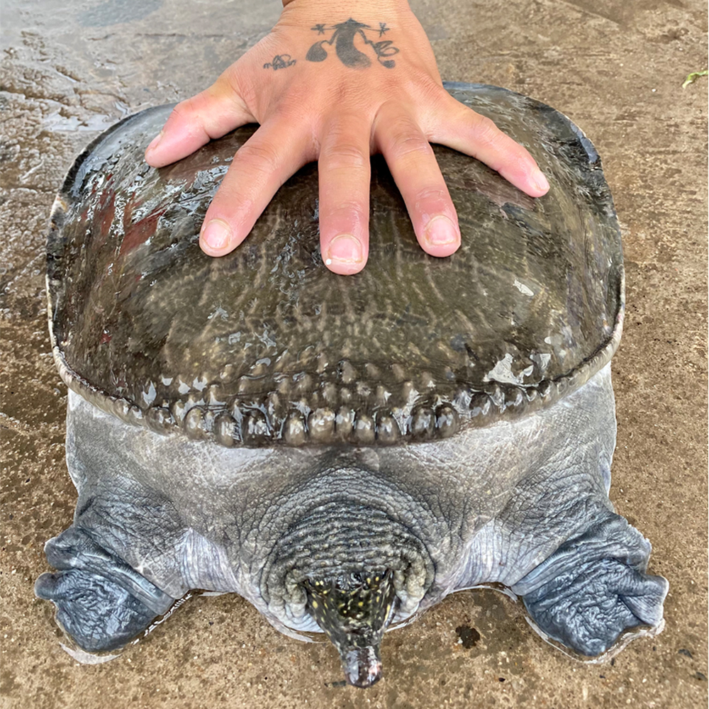 Cua Đinh Hải Nguyên Seafood
