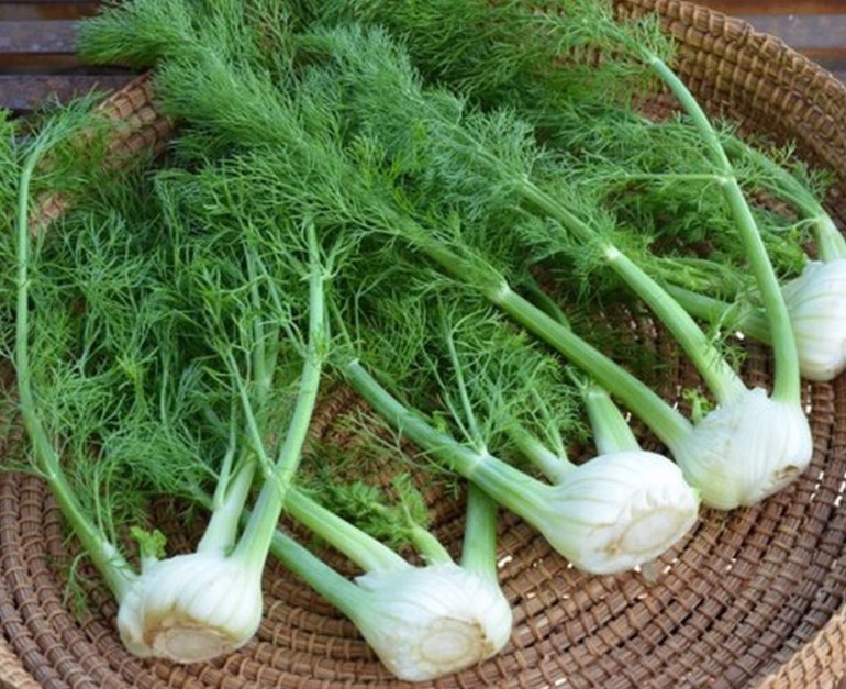 Củ hồi Đà Lạt