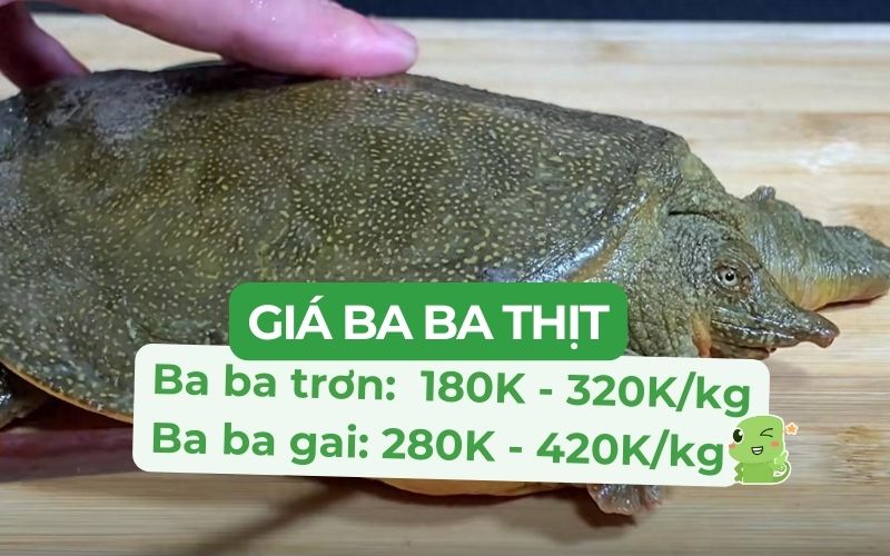 Giá ba ba gai và ba ba trơn dao động tùy thuộc vào trọng lượng/con