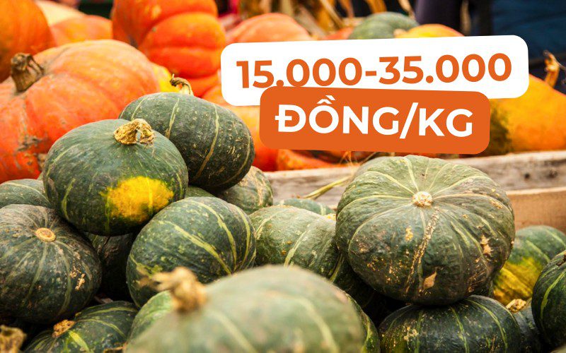 Giá bí đỏ dao động từ 15.000 đến 35.000 đồng/kg