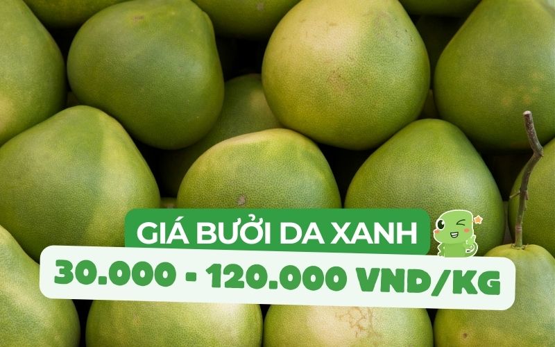Giá bưởi da xanh dao động từ 30.000 đến 120.000 tùy thuộc vào mùa vụ, địa điểm bán, xuất xứ, kích thước