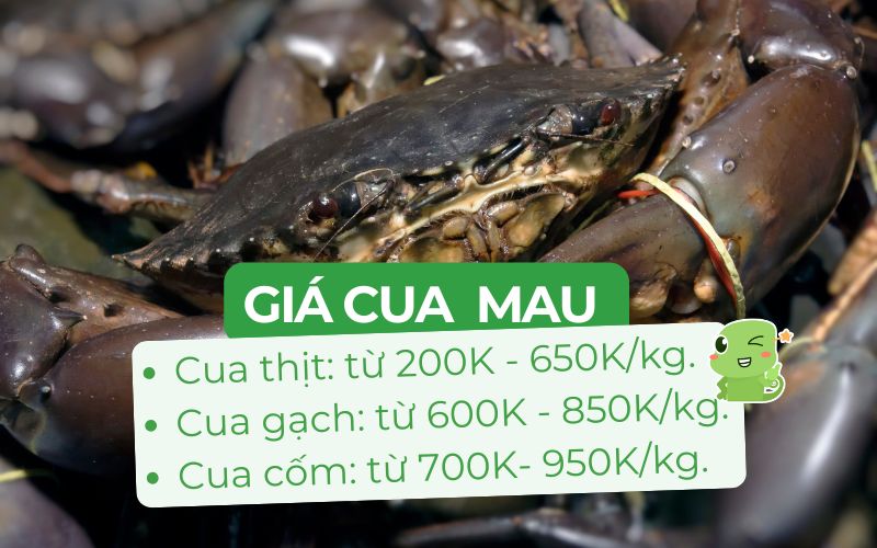 Giá cua Cà Mau tùy thuộc vào loại cua và trọng lượng con/kg