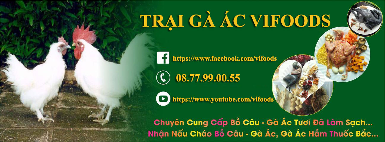 Gà ác thịt tiềm thuốc bắc Quận 1