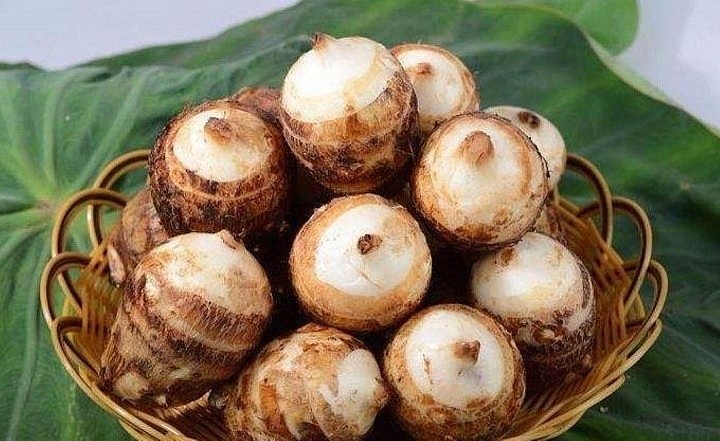 Vì sao khoai sọ được coi là 