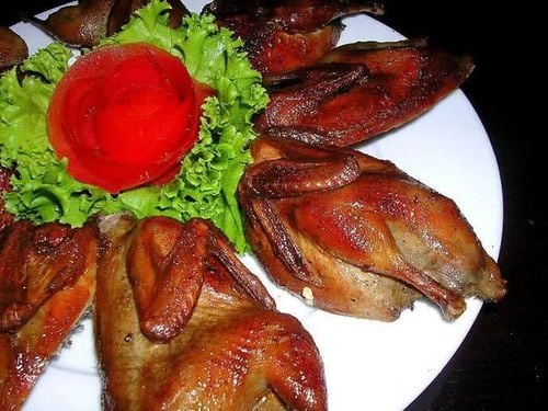 Thịt chim bồ câu có tác dụng gì? 