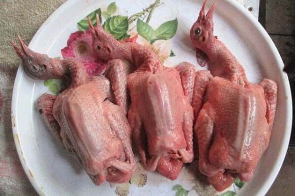 Cách hầm chim bồ câu cho bà bầu giữ chất và dễ ăn nhất 