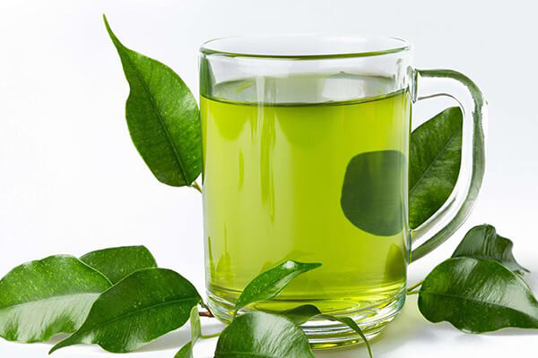 Top 9 tác dụng của lá sung với sức khỏe