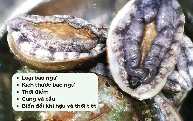 Tùy từng thời điểm bào ngư sẽ có mức giá khác nhau