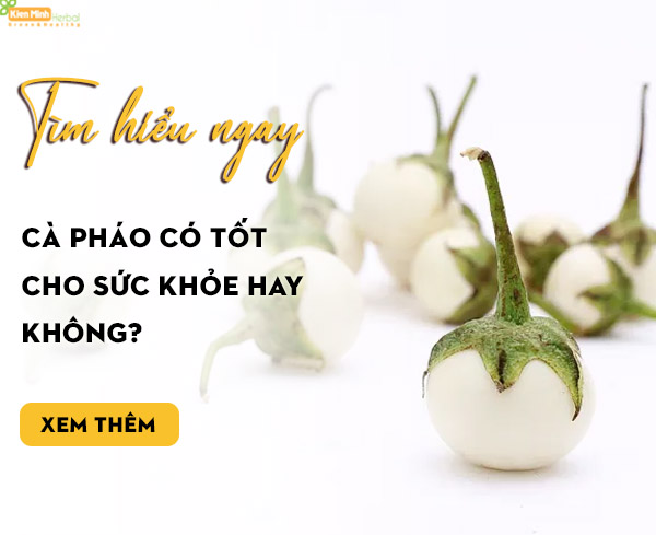 Cà pháo có tốt cho sức khỏe hay không? Tìm hiểu ngay