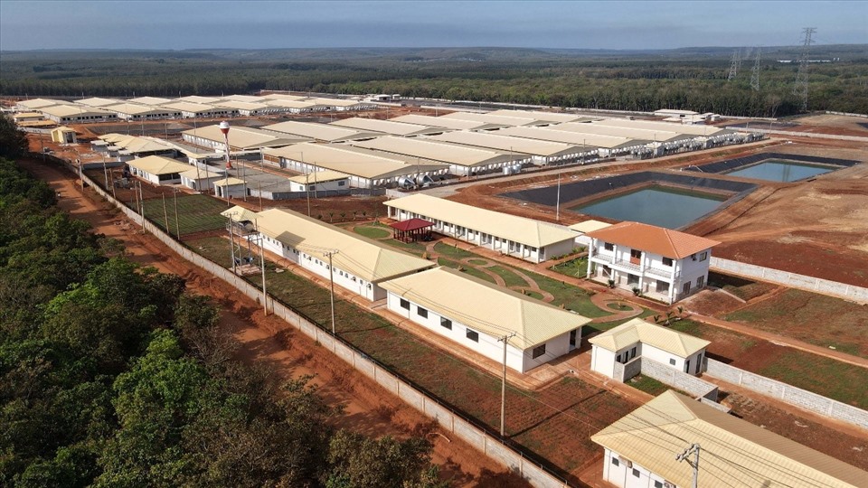 cong-ty-chan-nuoi-heo-lon-nhat-Viet-Nam