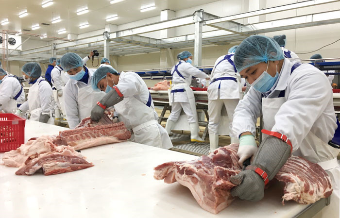 Công ty nhập khẩu thịt heo đông lạnh, ba rọi, nạc dăm, nạc đùi, sườn non, cốt lết, da, mỡ, xương ống - VIFOOD