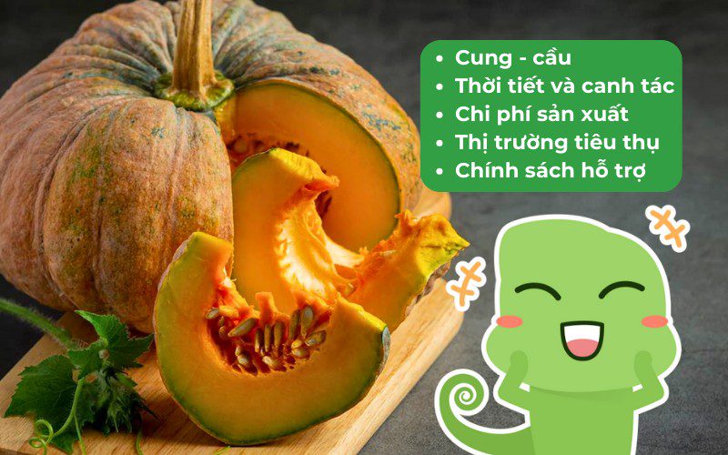 Những yếu tố ảnh hưởng đến giá bí đỏ trên thị trường