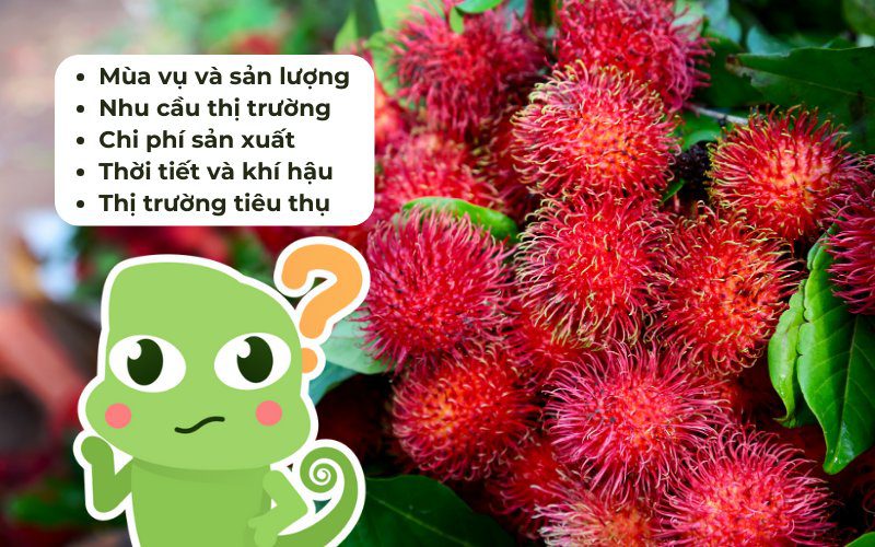 Giá cả chôm chôm ngày hôm nay có thể thay đổi theo thời gian và địa điểm