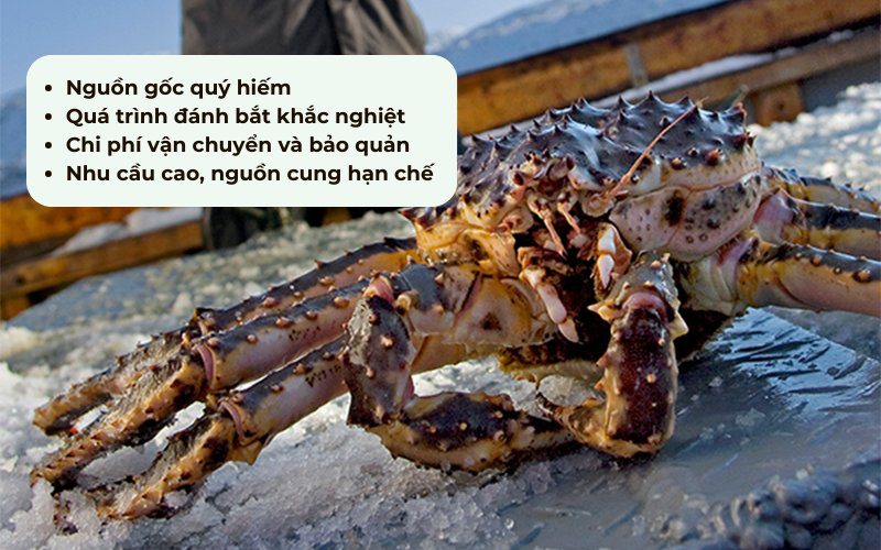 Giá cua hoàng đế tương đối cao do nguồn gốc quý hiếm và giá trị dinh dưỡng cao