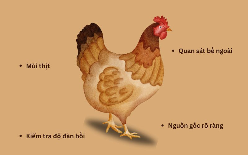 Gà tươi có màu sắc tự nhiên, thịt chắc