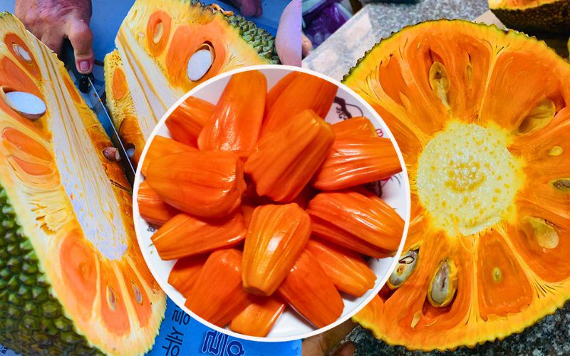 Hướng dẫn lựa chọn mít ruột đỏ ngon, ngọt và chất lượng