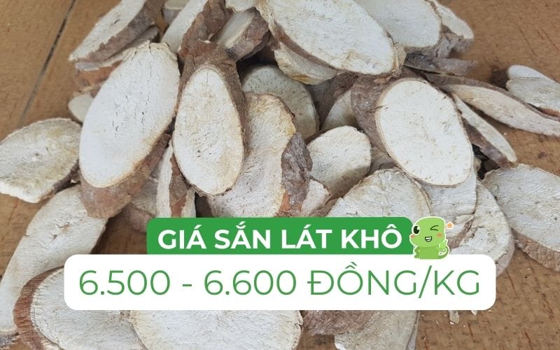 Giá sắn lát khô trong nước dao động từ 6.500 - 6.600 đồng/kg