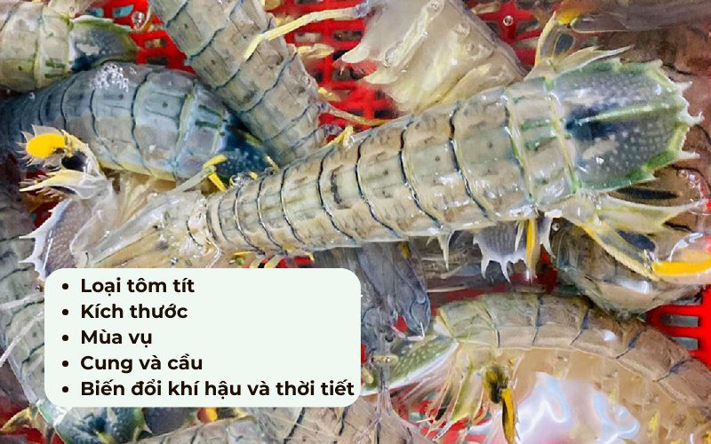 Giá tôm tít có sự chênh lệch giữa từng khu vực và nơi bán