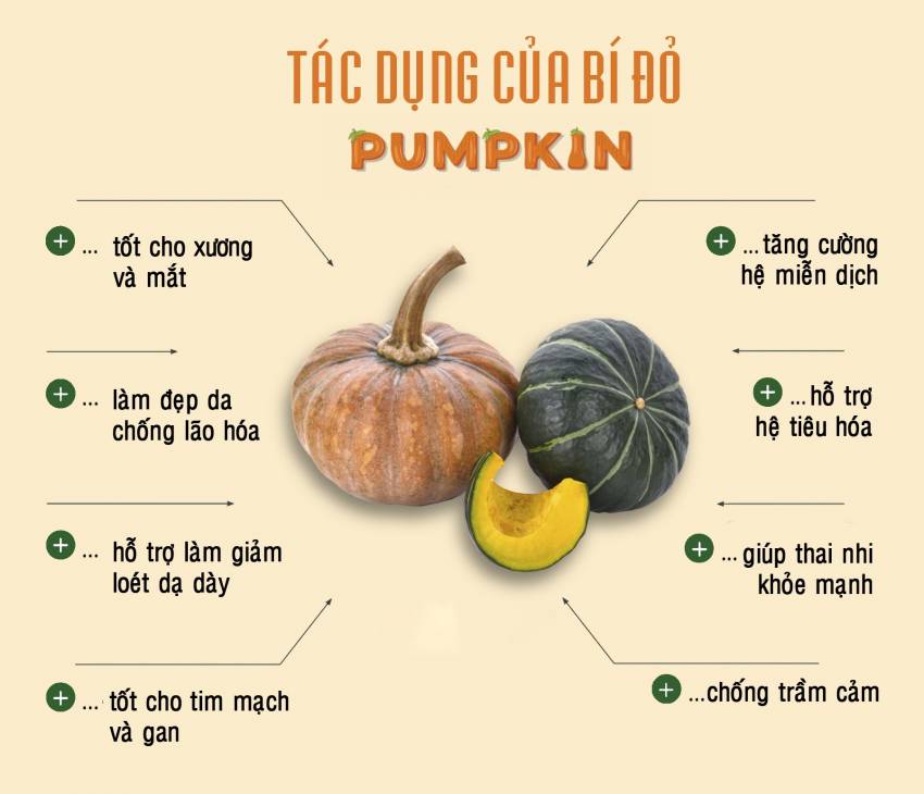 NHỮNG TÁC DỤNG CỦA BÍ NGÔ ĐỐI VỚI SỨC KHỎE MÀ BẠN NÊN BIẾT
