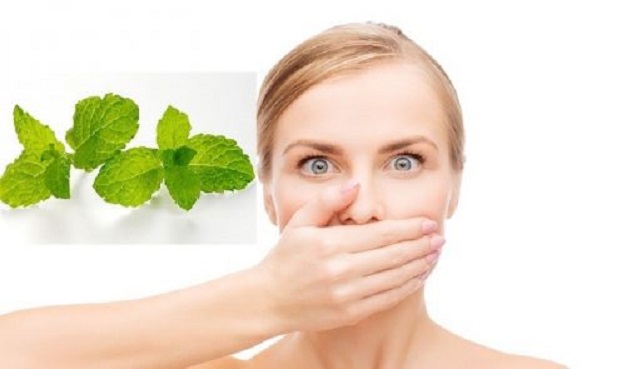 Mẹo chữa hôi miệng bằng lá bạc hà cực hiệu quả ngay tại nhà - Nha khoa Tân Định