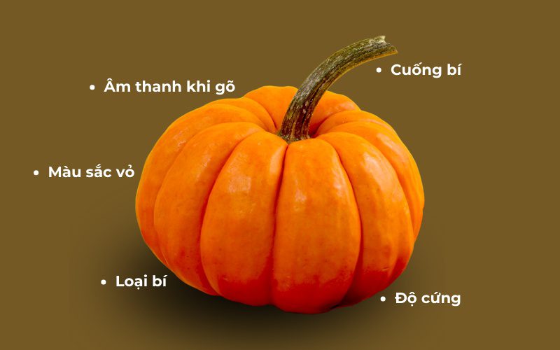 Bạn có thể chọn được bí đỏ ngon với vài cách đơn giản