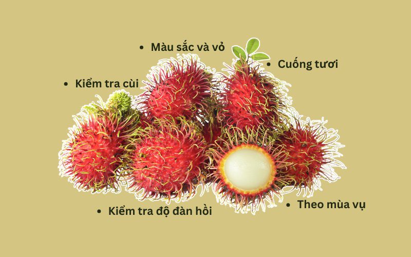 Bạn nên chọn chôm chôm có màu tươi sáng, đồng đều