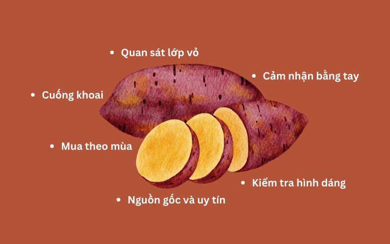 Mẹo chọn khoai lang ngon, chất lượng