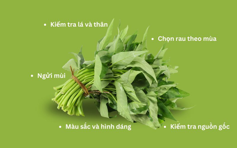 Bạn có thể quan sát cọng rau muống để lựa chọn được sản phẩm tươi