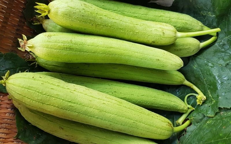 Một số tác hại của mướp hương